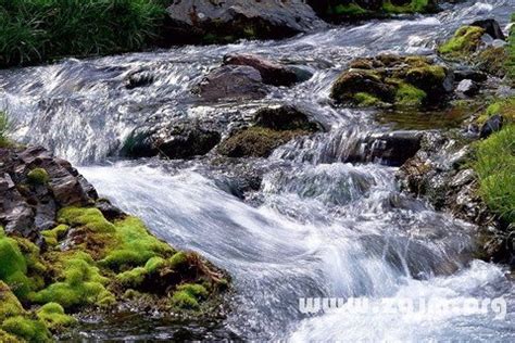 夢見溪流|夢見溪流：溪流汩汩，大吉之兆